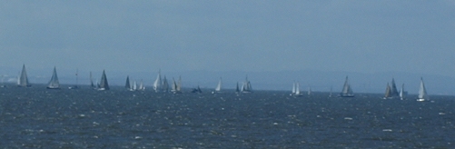 d0114517_11154871.jpg