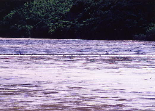 e0190619_742744.jpg