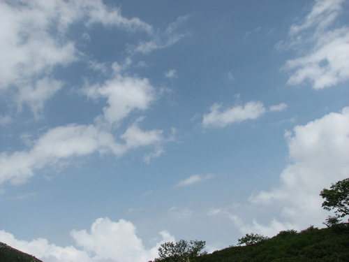 b0158721_11365612.jpg