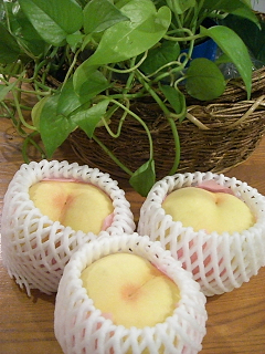 e0094325_2235276.jpg
