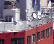 a0144027_2293819.jpg