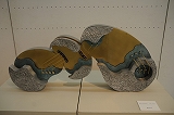 a0017634_8532880.jpg