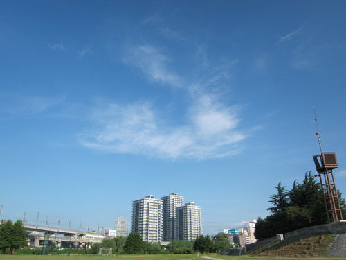 d0156438_8585360.jpg