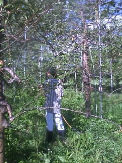 d0010039_20421174.jpg