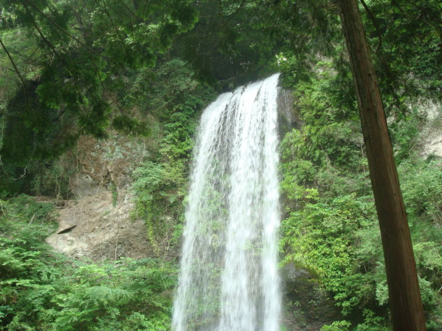 a0048040_16112759.jpg