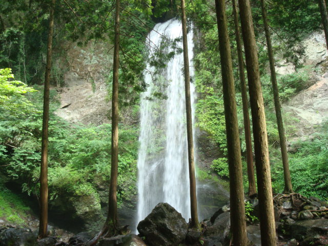 a0048040_16113980.jpg