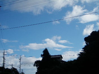 a0054240_22235725.jpg