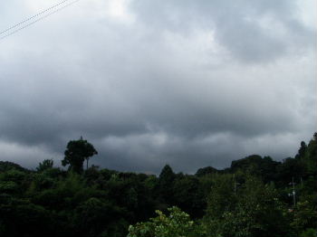 a0054240_22241411.jpg