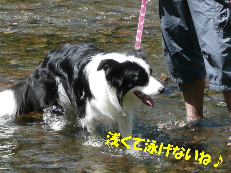 c0147241_7483869.jpg