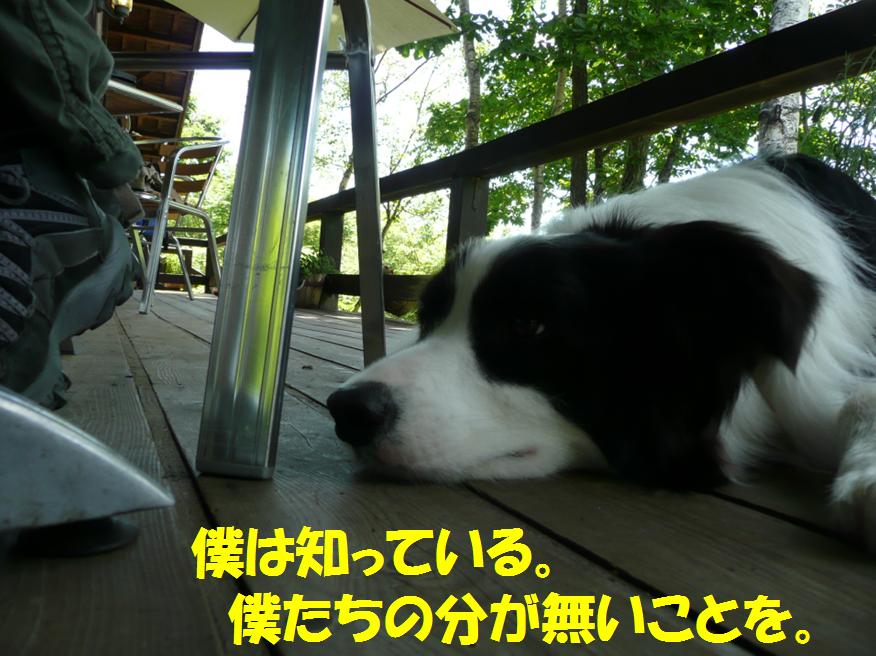 c0147241_8155381.jpg