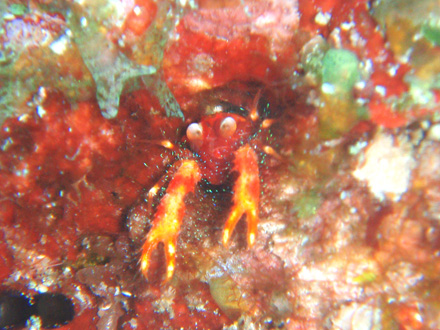 f0014842_17531817.jpg