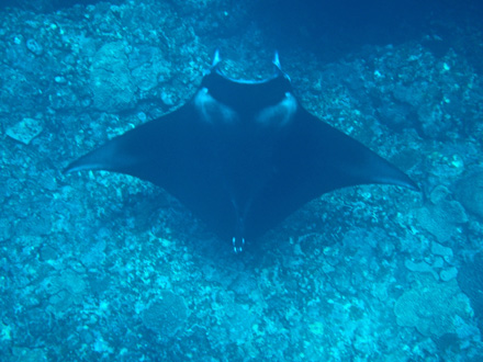 f0014842_17553198.jpg