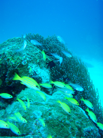 f0014842_18124919.jpg