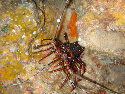 f0014842_18552.jpg