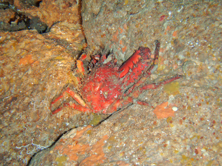f0014842_1864654.jpg