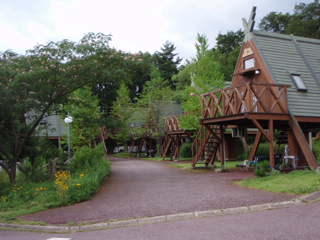 f0168947_653512.jpg