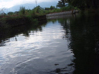 f0168947_6572076.jpg