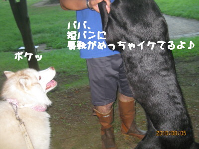 e0121548_15385238.jpg