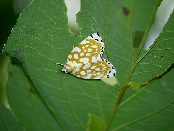 d0091754_0265569.jpg