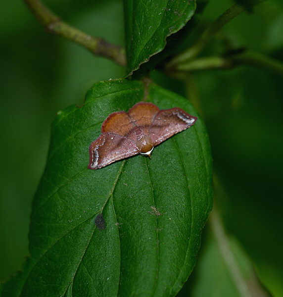 d0091754_14573.jpg