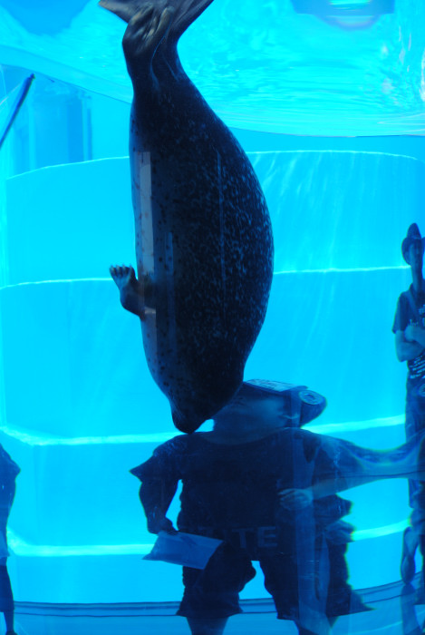 f0209256_23363725.jpg