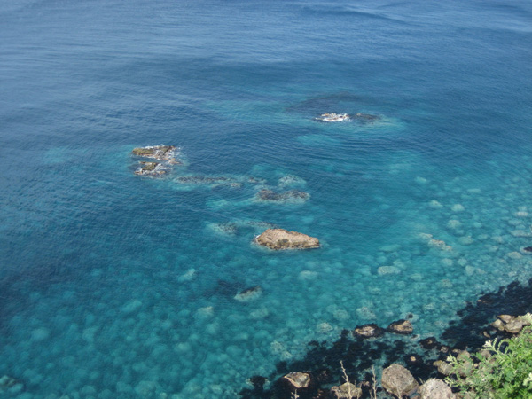 f0009457_105382.jpg