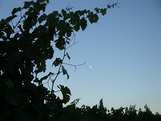 c0185058_9312332.jpg