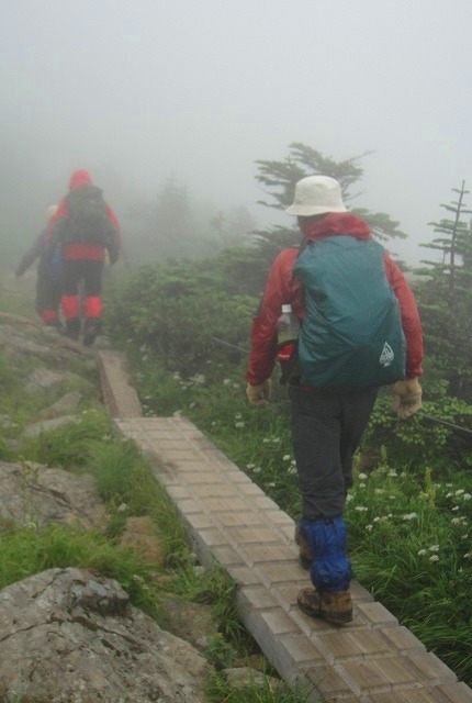 c0119160_61416.jpg