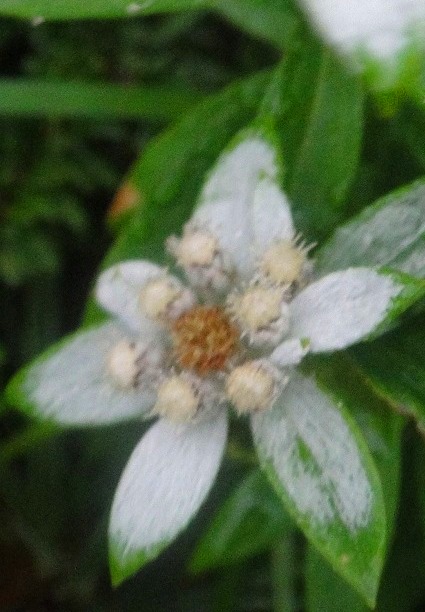 c0119160_6221394.jpg