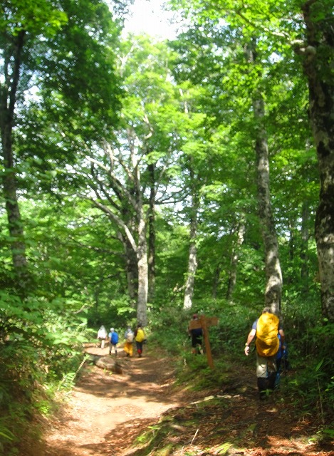 c0119160_6441966.jpg