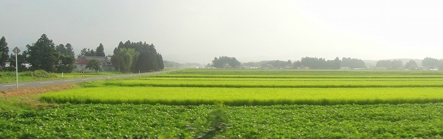 c0119160_6475515.jpg