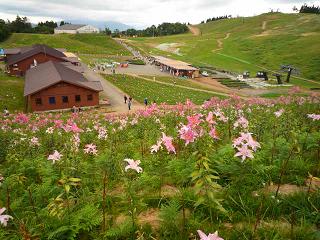 f0221360_2243981.jpg