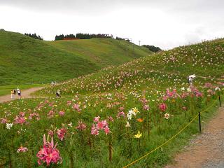 f0221360_2264382.jpg