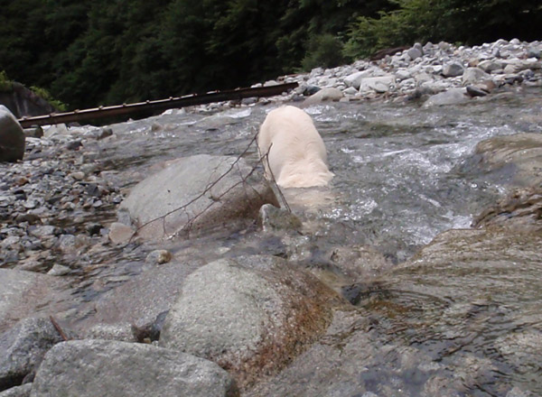 c0110361_1546415.jpg