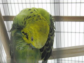 f0196665_023390.jpg
