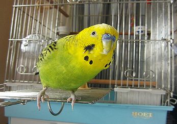 f0196665_024686.jpg