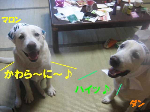 a0144266_1462652.jpg