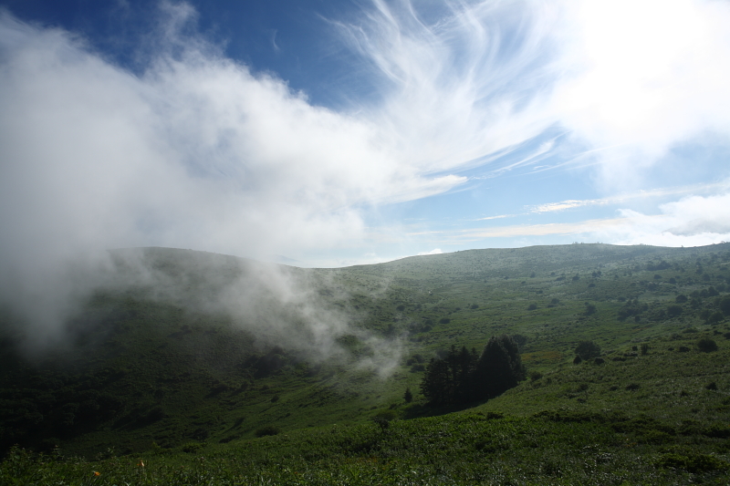 b0027267_22193587.jpg