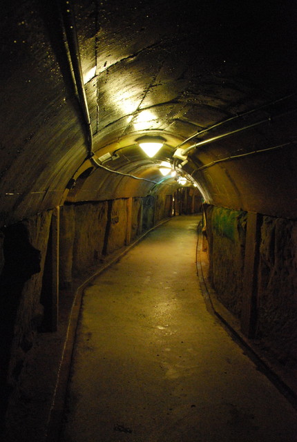 b0174068_235536100.jpg