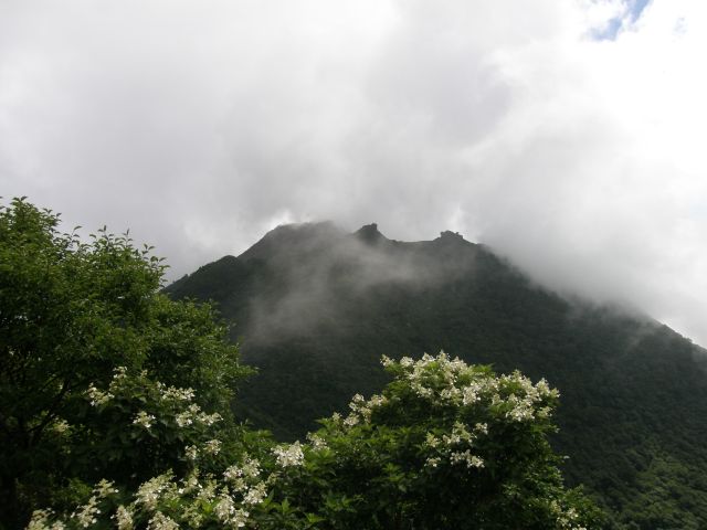 c0042869_8524711.jpg
