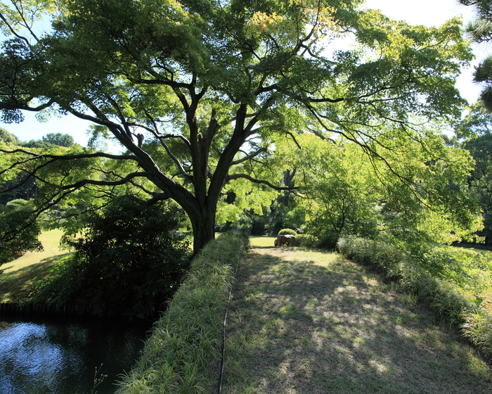 a0042970_2039197.jpg