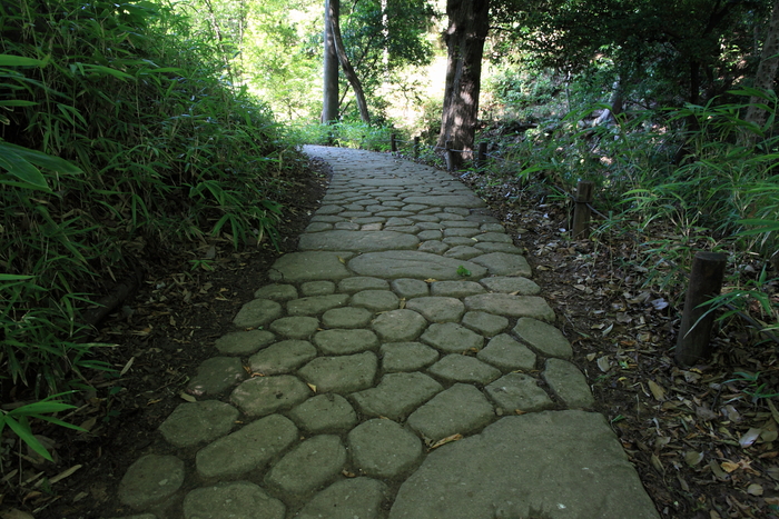 a0042970_204122.jpg