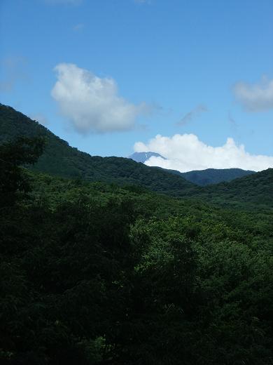 e0078071_2182446.jpg
