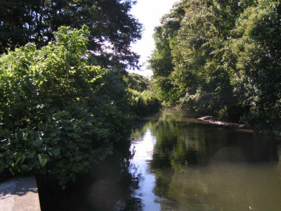 c0112172_12123567.jpg