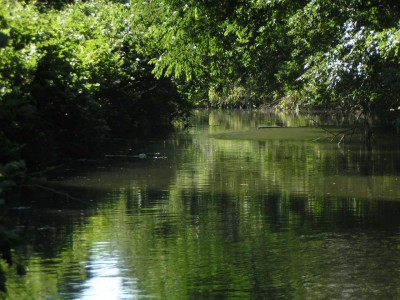 c0112172_12124540.jpg