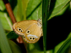 f0181173_0324196.jpg