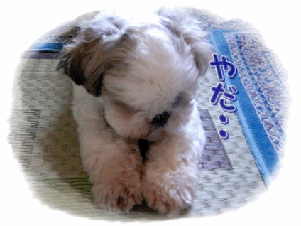 f0213476_12163138.gif