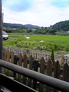 c0021178_21415388.jpg