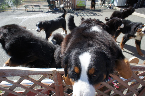 d0065484_1185920.jpg