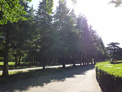e0194987_2257785.jpg